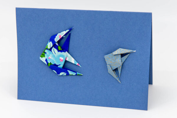 Carte petits poissons bleus