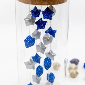 Féerie d’étoiles « Gingakei » – Image 2