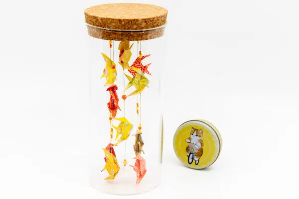 Aquarium de poche « Mitate »