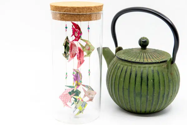 Aquarium de poche « Eiki »