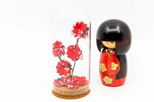Fleurs éternelles « Ai »