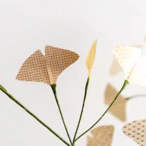 Bouquet de gingko « Omiyage » – Image 2