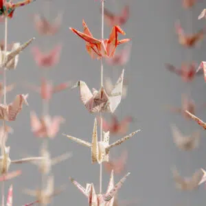 Envolée de 300 grues  « Fukko » – Image 7