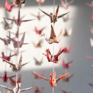 Envolée de 300 grues  « Fukko » – Image 9