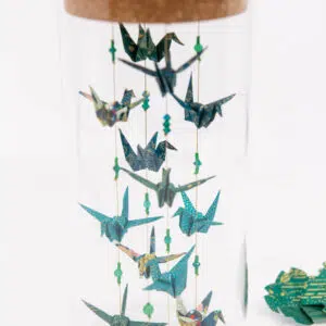 Volière de poche « Shinrin Yoku »