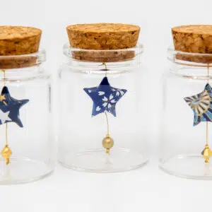 3 « Sora no Kakera » Hoshi